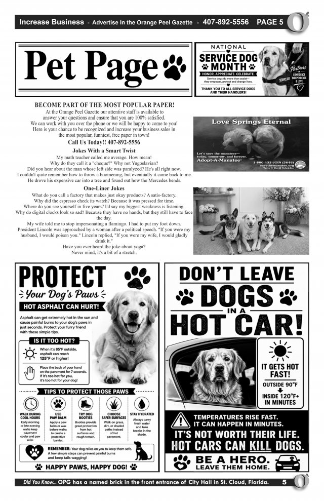 image-1024169-September_2026_Quark_File-Layout_5-e4da3.w640.jpg